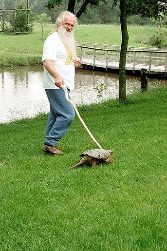  Common snapping turtle 